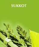 sukkot.jpg